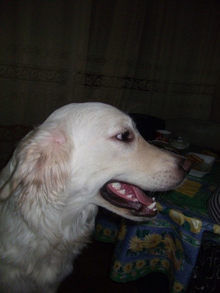 Бакаянова Мария | Санкт-Петербург