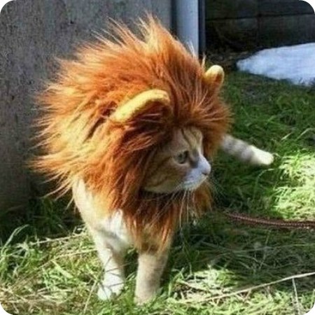 Елена Забаштан | Междуреченск