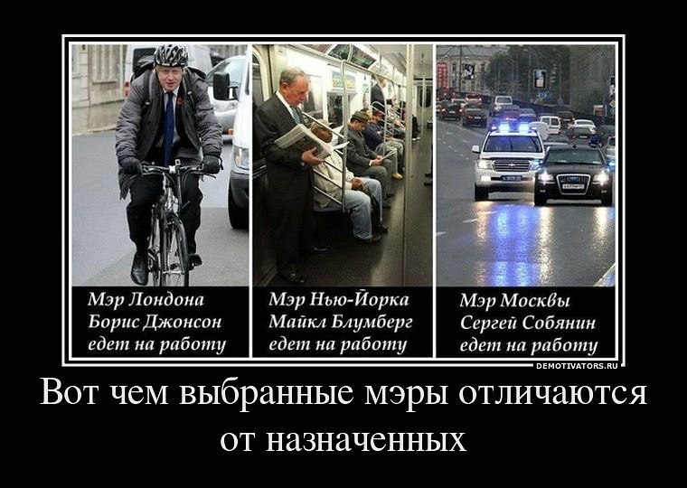 Андрей Кулебякин KinGin | Жуковский