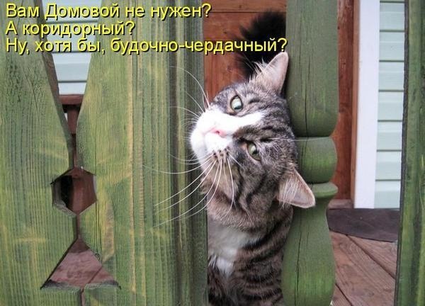 Адам Цыбульский | Красноярск