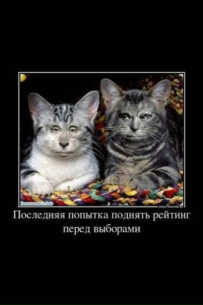 №110, Антон Петрушин №110, Антон Петрушин
