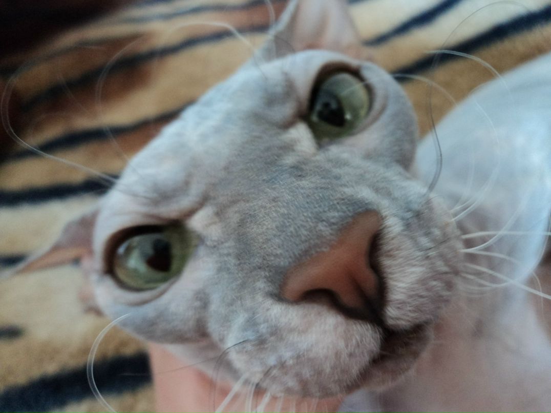 Алексей Павлов | Набережные Челны