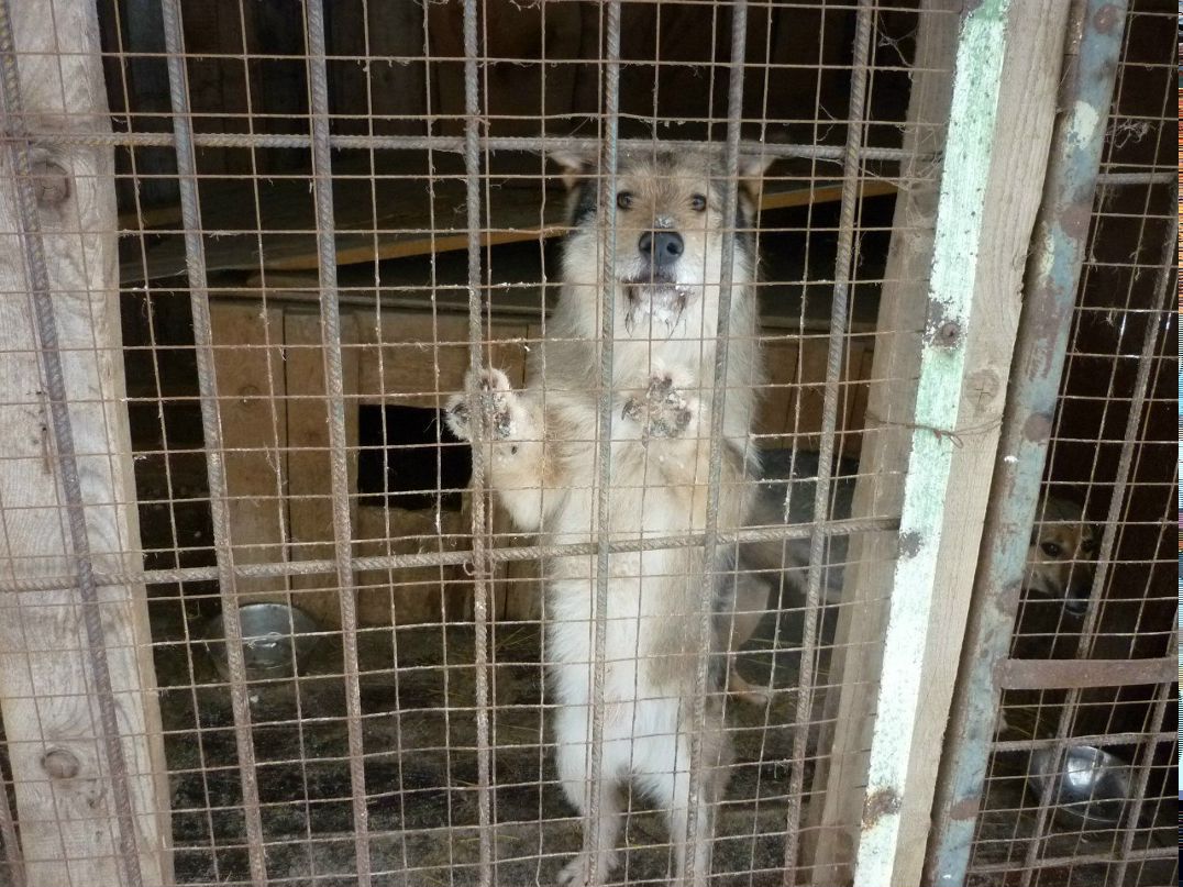 Анна Евгеньевна | 