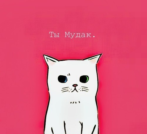 Тёма Мелдо | Петрозаводск