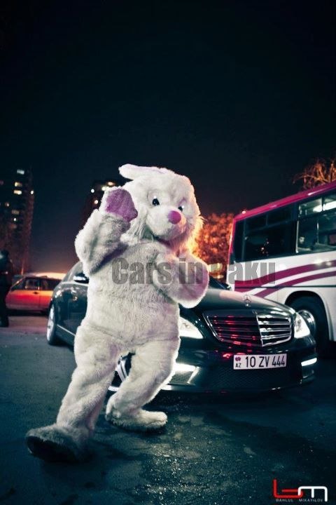 Rustam Axmedzade | Баку