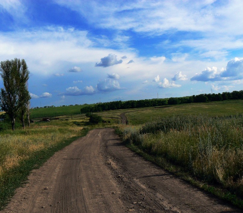 Лина Петренко | Днепр (Днепропетровск)