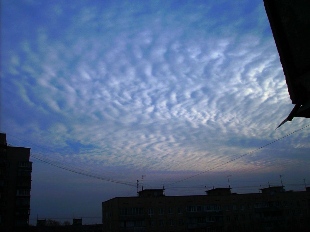 Лина Петренко | Днепр (Днепропетровск)