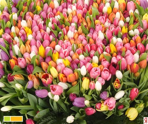 №84, Ирина Ковальчук, Одесса №84, Ирина Ковальчук, Одесса