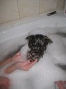 Фотография Михалыча Михи