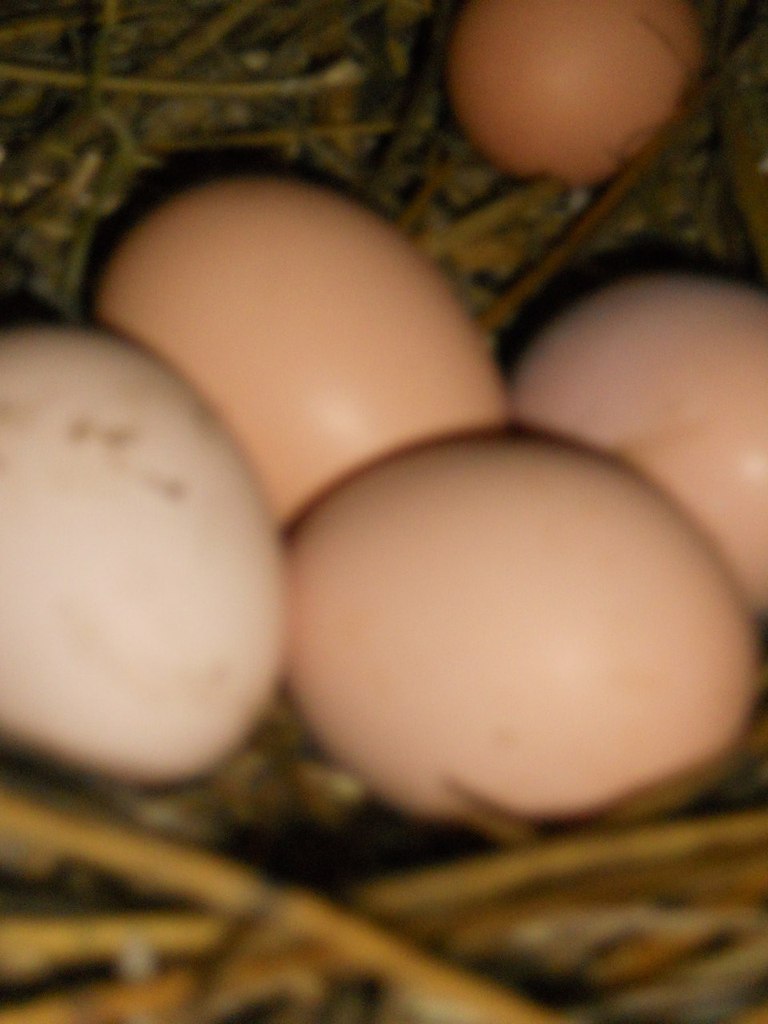 Екатерина Митрошина Олеговна | Уфа