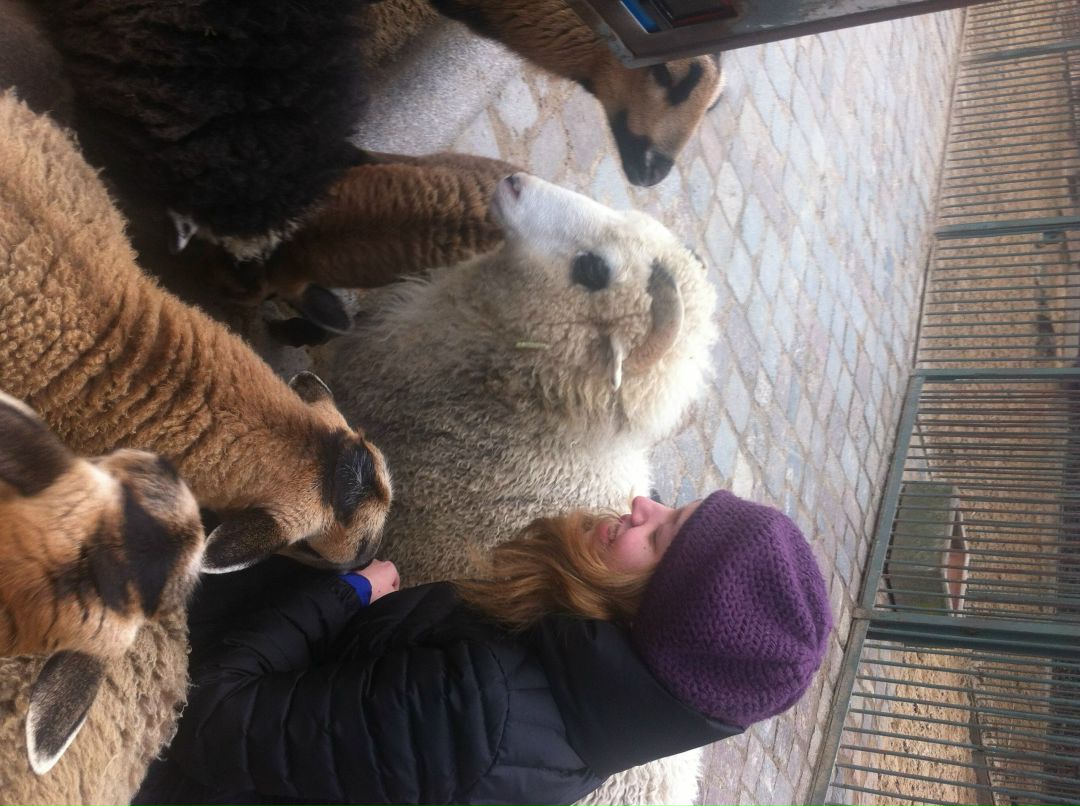 Дария Волынская | 