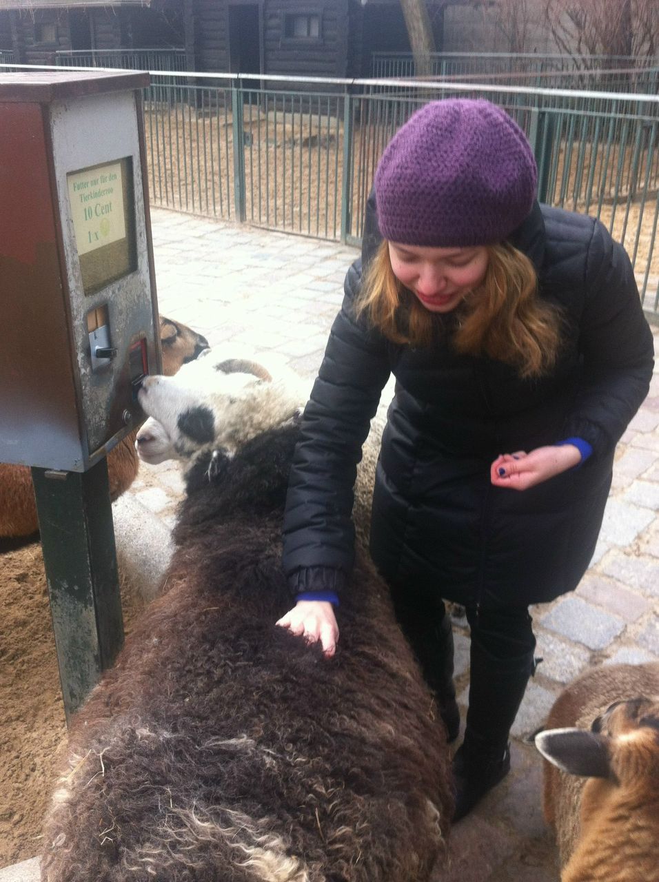 Дария Волынская | 