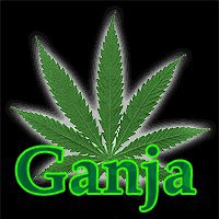 Евгений Волков