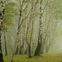 Валера Гома