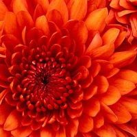 Катерина Завьялова