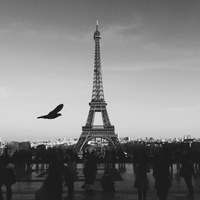 Елена Семенюк