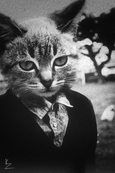 Саша Чайковский, Беларусь, Минск