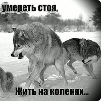 Евгеша Сидоров