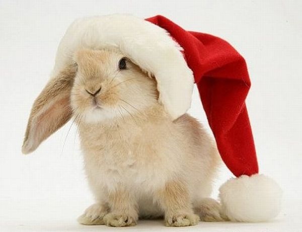 №132, Иван Ерёменко, Мелитополь №132, Иван Ерёменко, Мелитополь