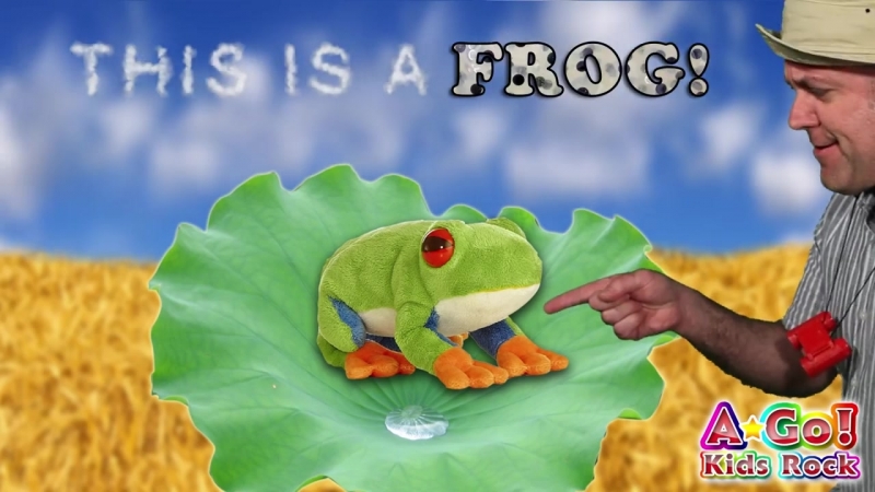 Whats this Whats