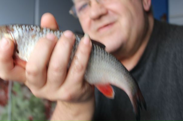 Анатолий Явтушенко, Украина, Днепропетровск (Днепр)