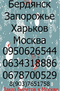 Автобус Бердянск-Москва