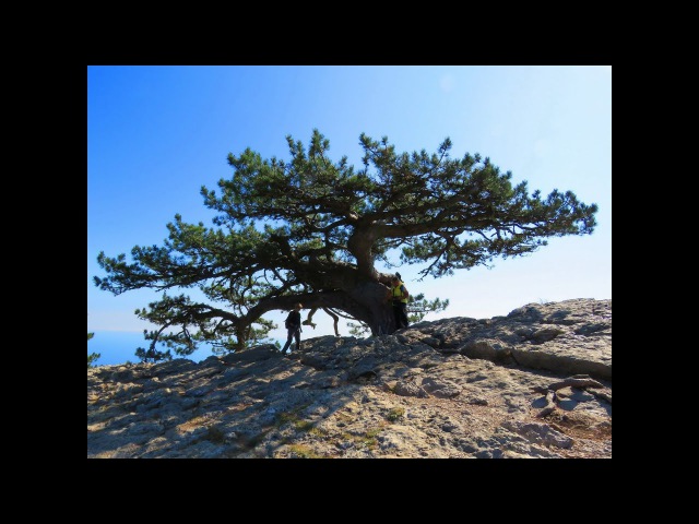 По Кореизской тропе