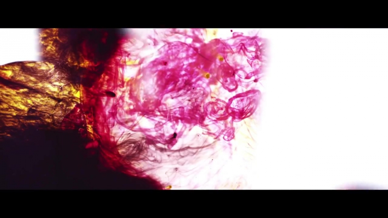 Takahiro Kido Autumn waltz (official