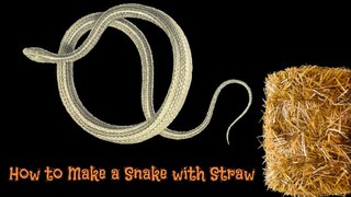 How to Make a Snake with Straw | How to Make a Snake Using Straw