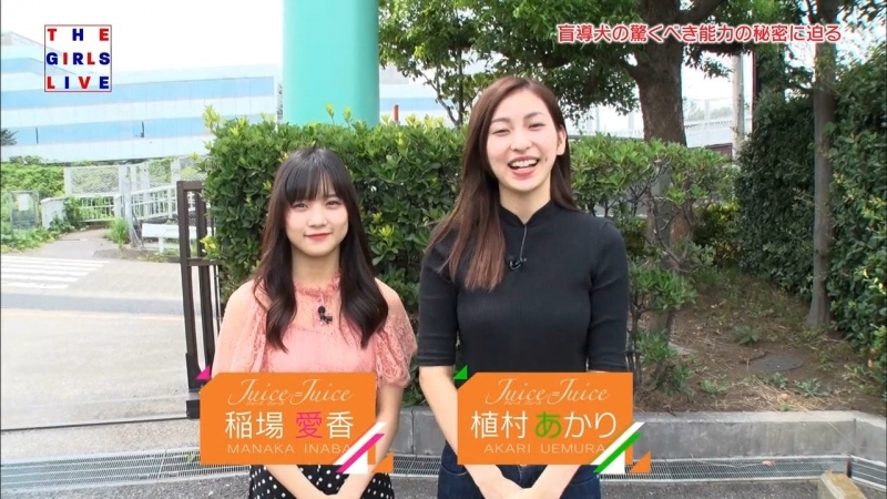 The Girls Live