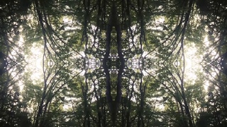 Helios - Seeming