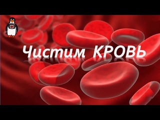 Очищение крови народными средствами.
