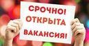 ❗️Друзья! Мы ищем продавца в свой фирменный отдел! Требования: без в/п, ответственный, коммуникабель