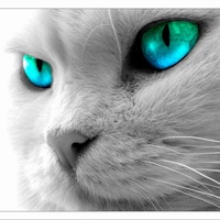 Юлия Владимировна