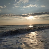 Люда Новикова