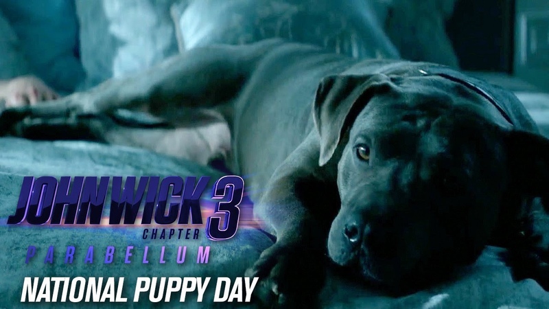 John Wick: Chapter 3 Parabellum (2019 Movie) Happy National Puppy Day Keanu