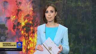 Полыхающая Россия: почему горят леса?