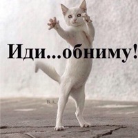 Елена Иванова