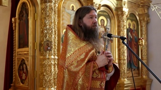 Проповедь в 4-ю неделю по Пасхе: о расслабленном ()
