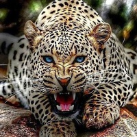 Наталья Иванова