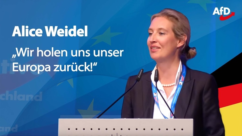Die EU ist Irrsinn , Alice Weidel in