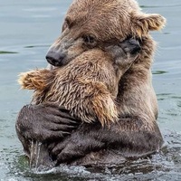 Сергей Булгаков
