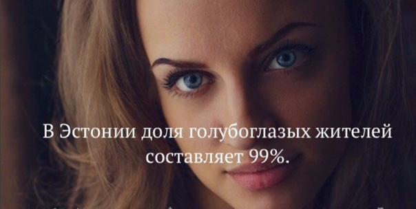 Про Взгляд Официальный Сайт Интернет Магазин