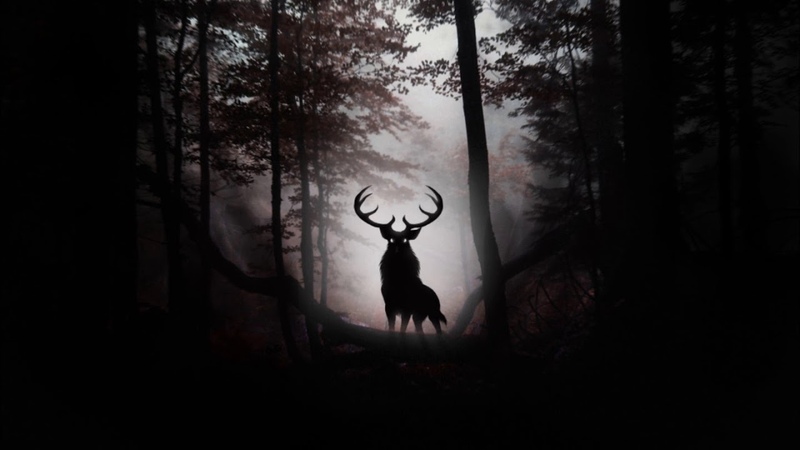 Primal Impulse Deep, Minimal Tribal Dubstep