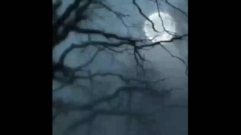 Menasiz_heyat_848_20200425_1.mp4