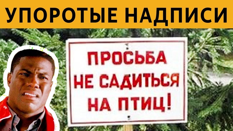 50 САМЫХ ЛЮТЫХ ОБЪЯВЛЕНИЙ ПРОСЬБА НЕ САДИТЬСЯ НА ПТИЦ :