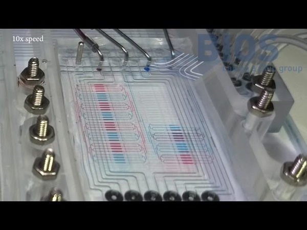 Standardized, Modular Parallelization Platform for Microfluidic Cell Culturing