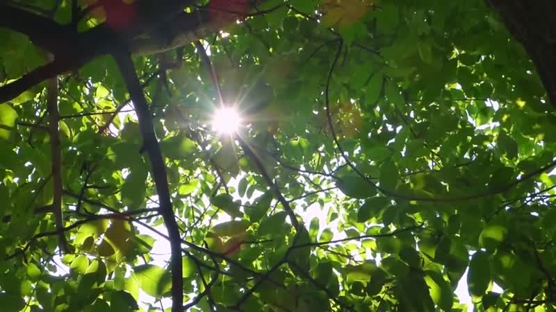 Без названия