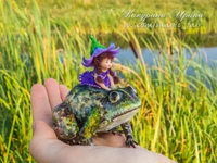 Милый лягушонок арт. Царевна лягушка болото кувшинки. Волшебная жаба. Изумрудная лягушка. Жаба арт.