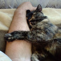 Николай Золотухин | Саратов